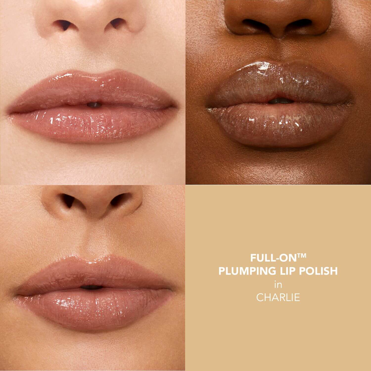FOLP STAYCATION (BRILLO DE LABIOS VOLUMINIZADOR)